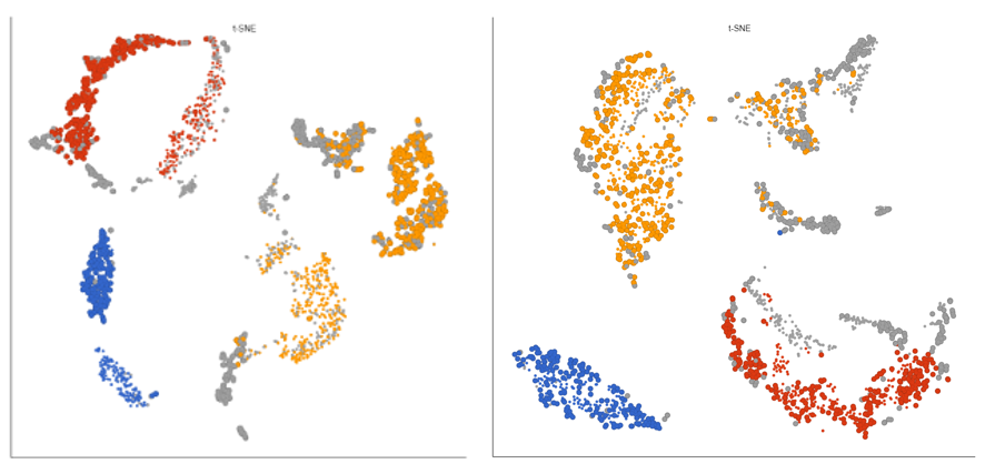Figure 3. Before (left) and after (right) batch effect removal of Version and Version*Classification. Cells are sized by Version and colored by Classification.